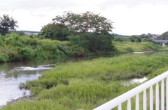 川原