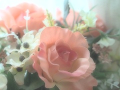 君が見つけた勇気の花