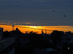 東の空