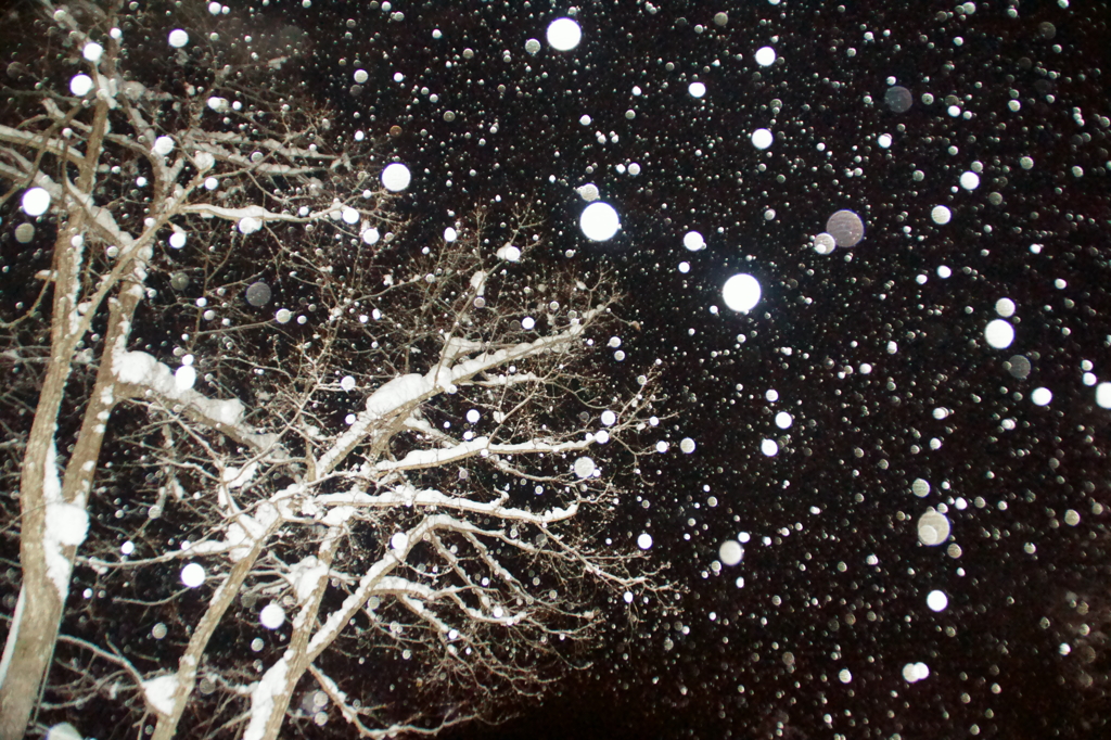 夜の降雪