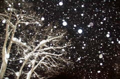 夜の降雪