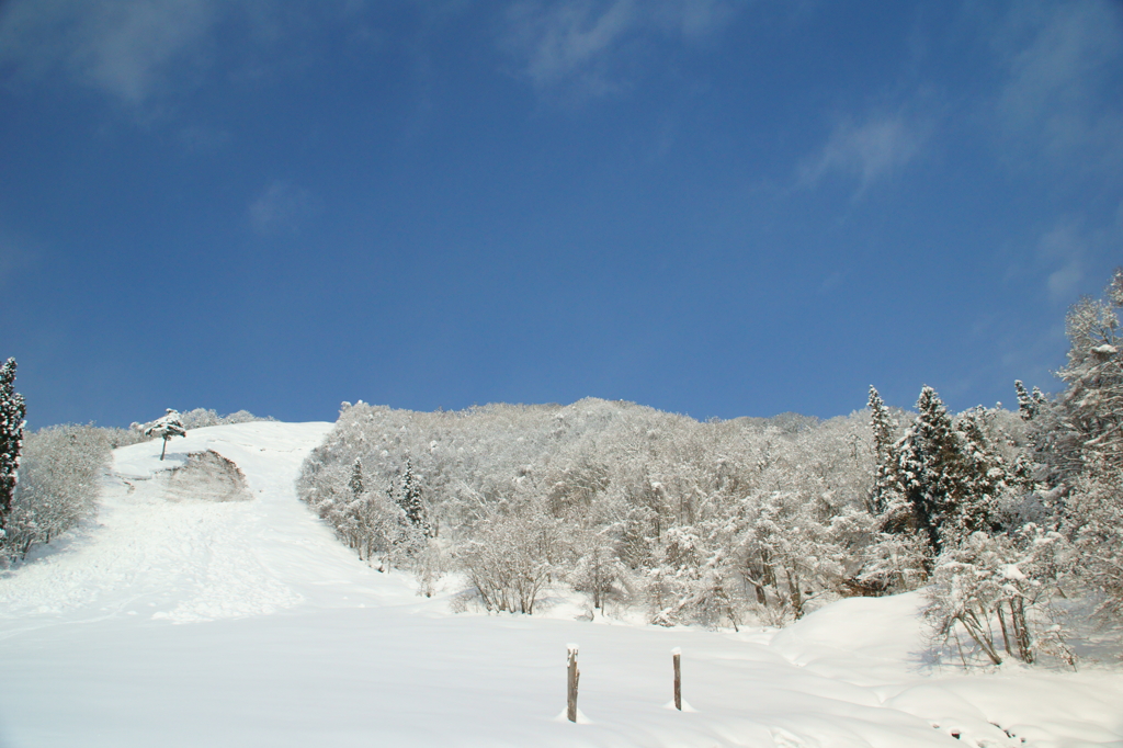 晴天の雪上