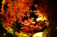 紅の夜