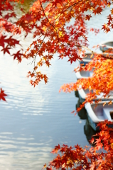 紅葉を前に乗る人を待つボート