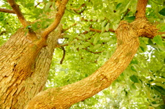 DSC00864