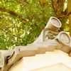 DSC00866