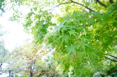 DSC00759