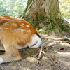 DSC00909