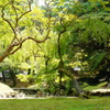 DSC00881