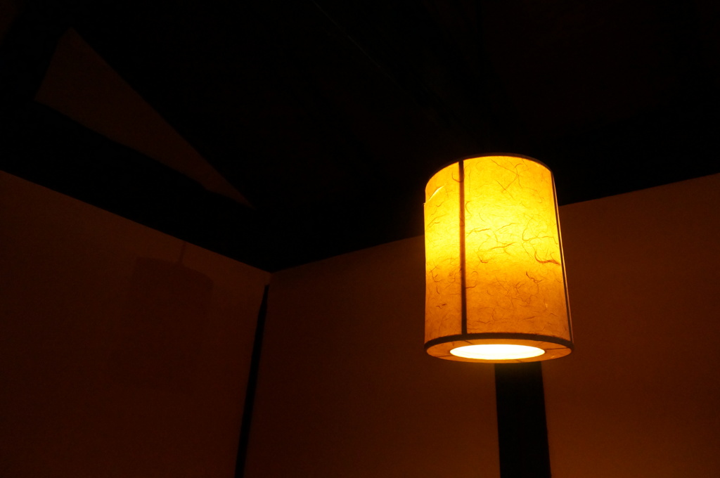 DSC00600