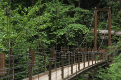 橋