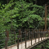 橋