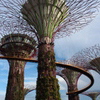 Super Trees