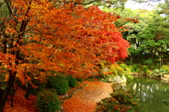 紅のアーケード