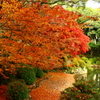 紅のアーケード