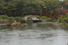 雨の中