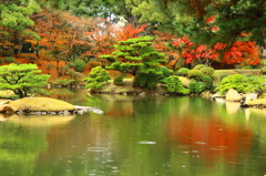 映る紅