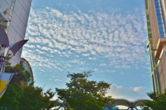 秋の空