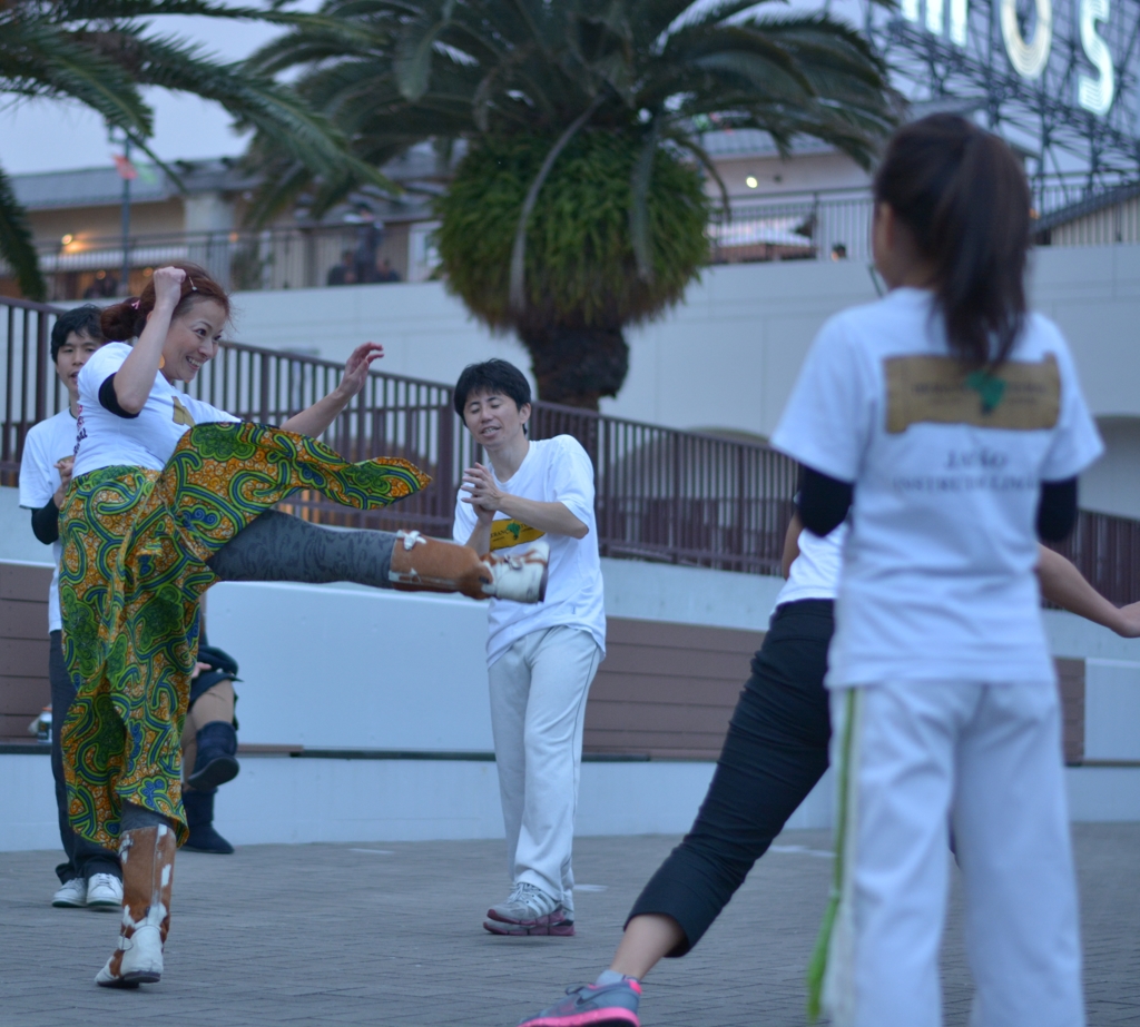 Capoeira　～ギャラリー完成しました！～