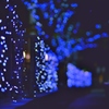 イルミネーションの季節  ～cool_blue_club～