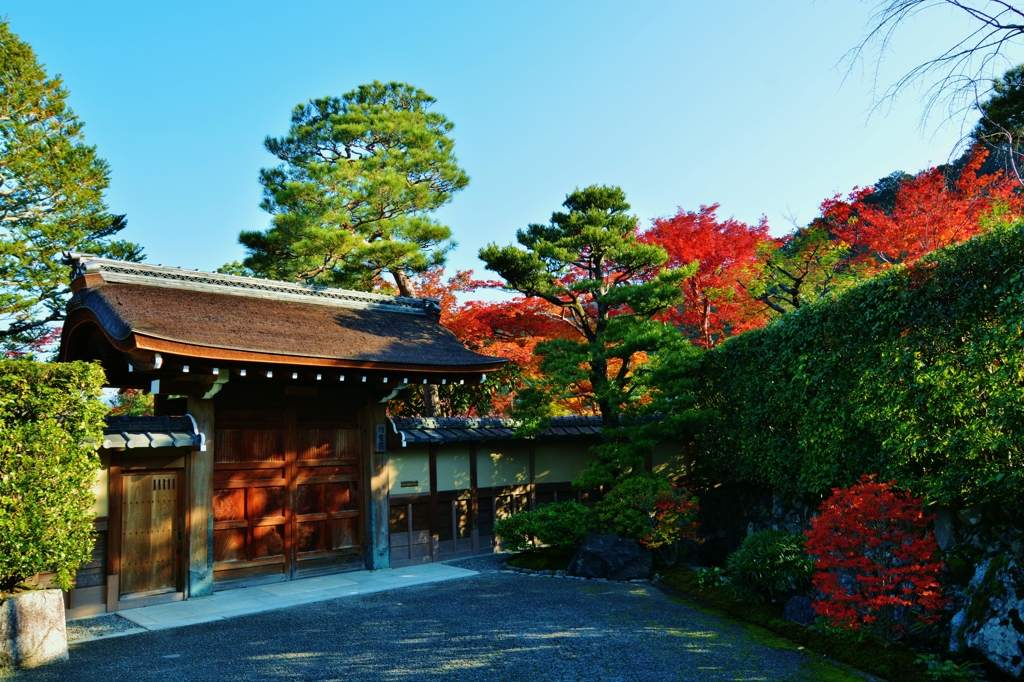 京の朝