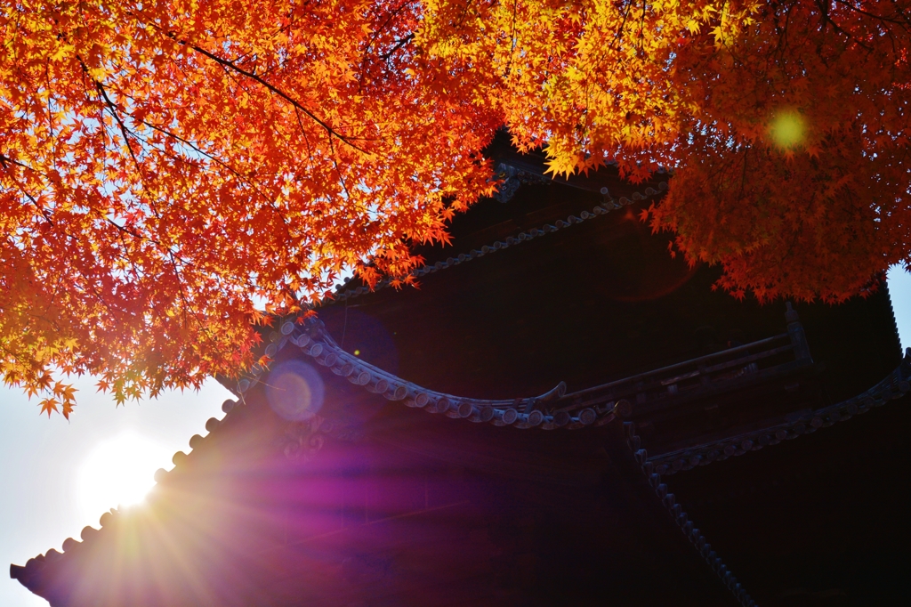 南禅寺　三門　側面より　～其の壱～