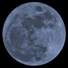 Full　Moon　～満月を等倍で～