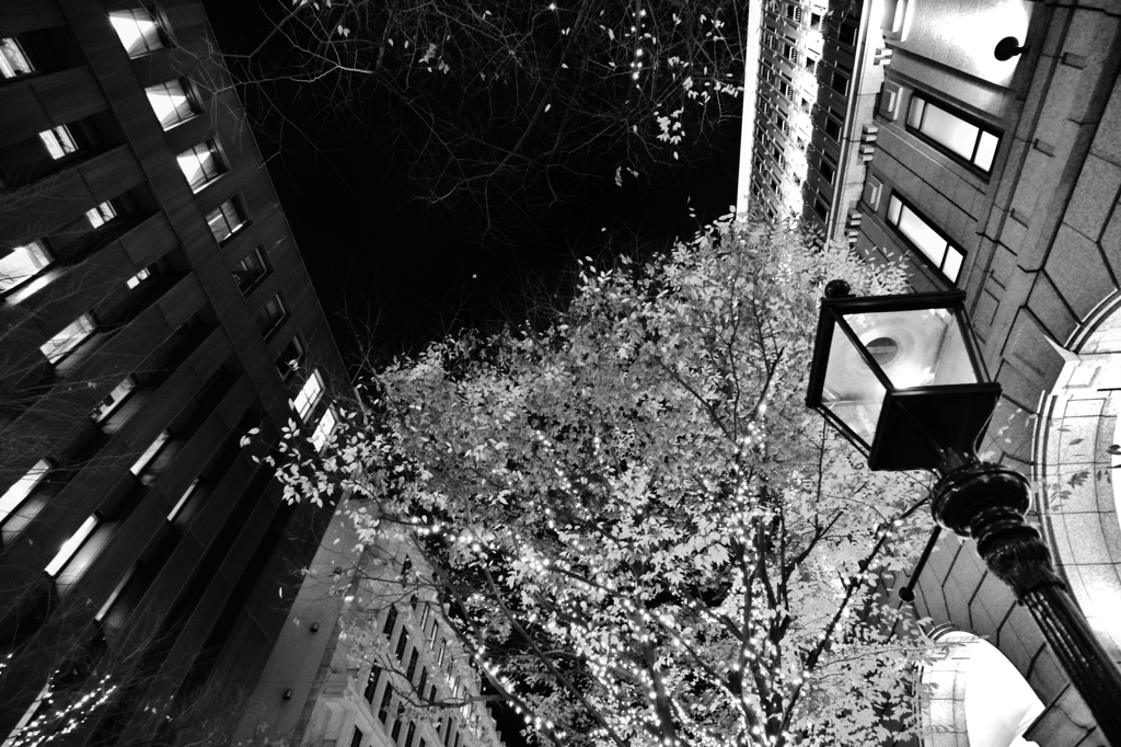 冬の旧居留地　～神戸便り～