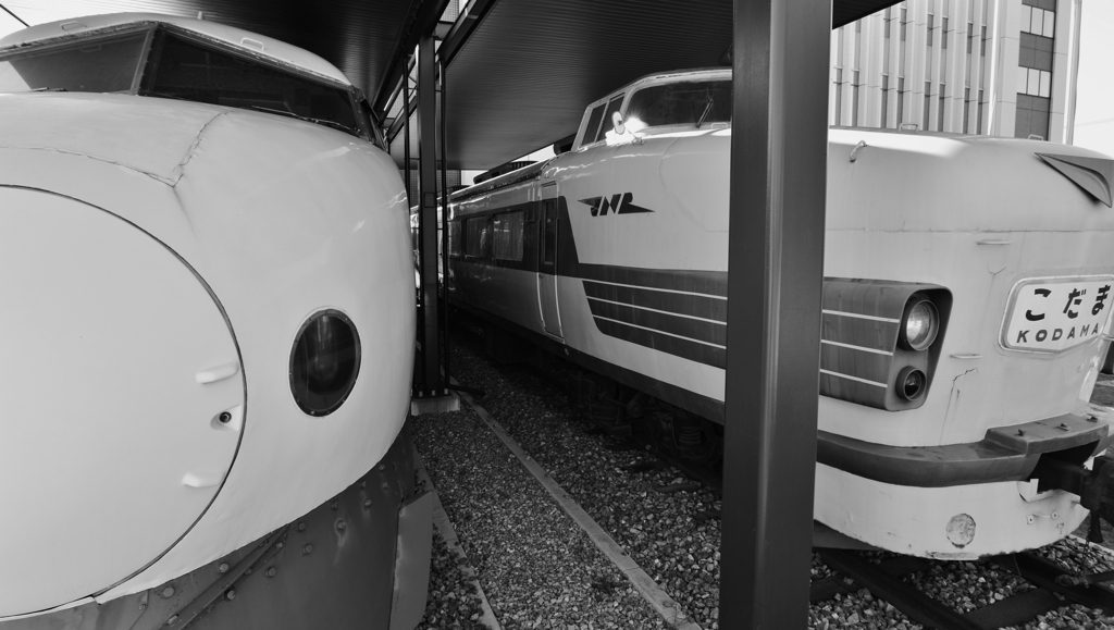 新幹線0系　と　電車特急こだま