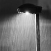 「真夜中の雨」