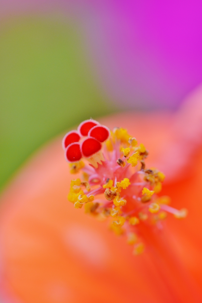 Magic of a color.