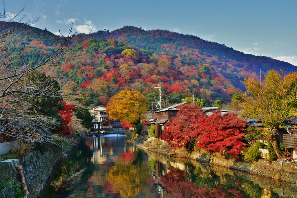 中島橋より大堰川（おおいがわ）を望む　～京都嵐山晩秋紀行～