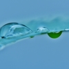 「揺蕩う」