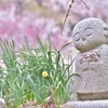 「お地蔵様の陽春」