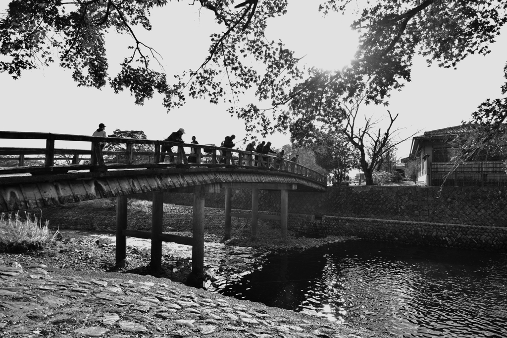 大堰川（おおいがわ）の中島橋に集う釣り人たち