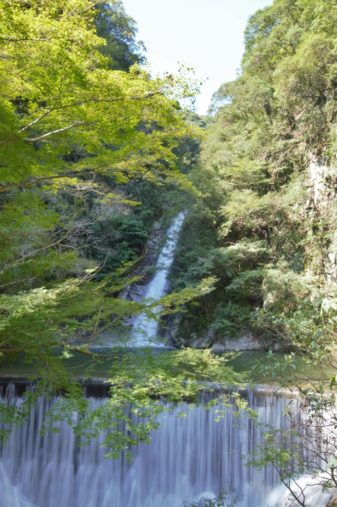 お昼休み