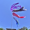 「青空に泳ぐ」
