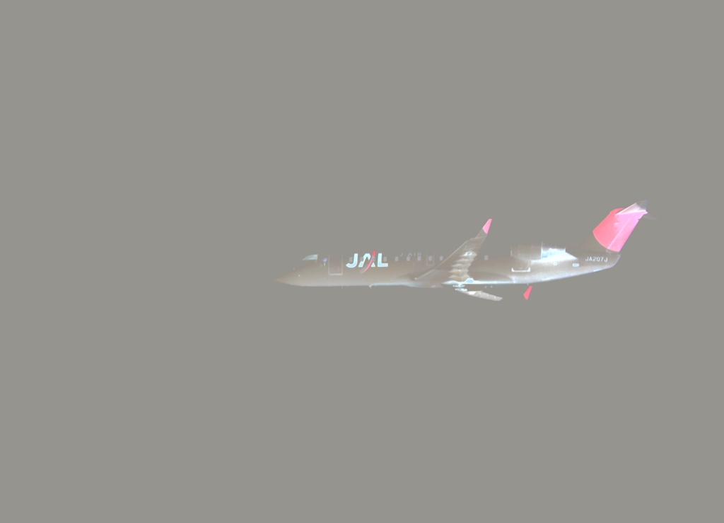 Flight