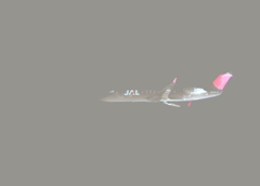 Flight