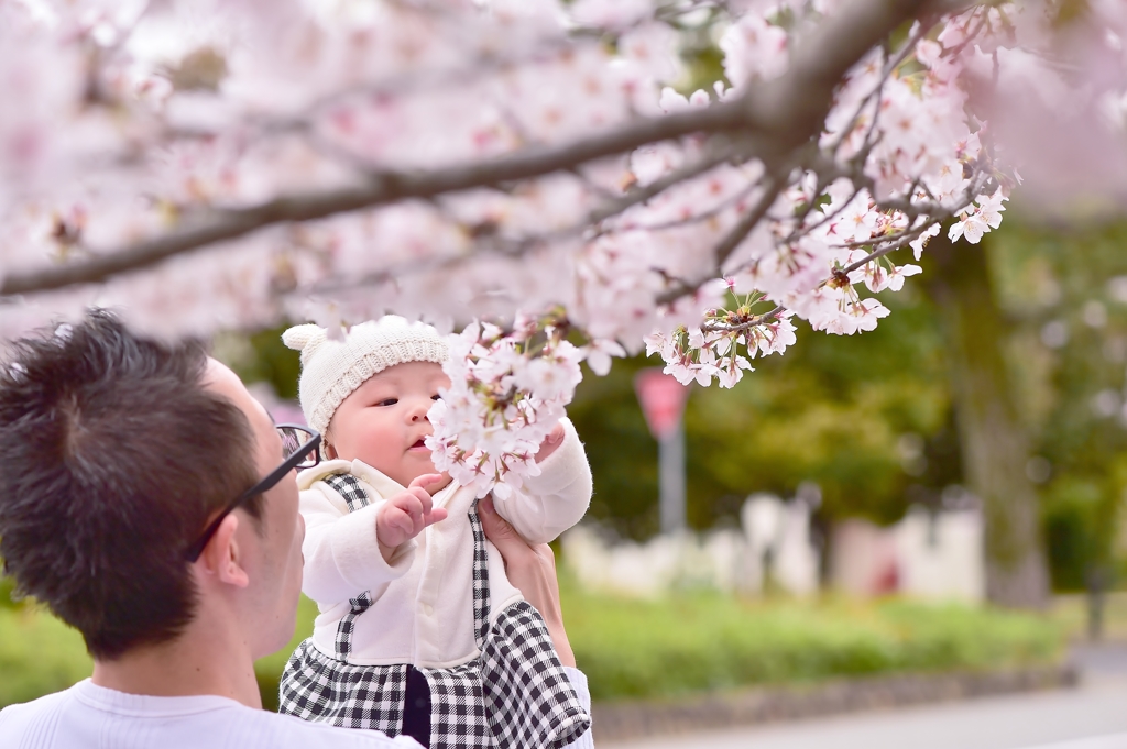 「生まれて初めてのお花見」