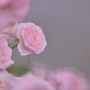 MACRO PLANARの世界