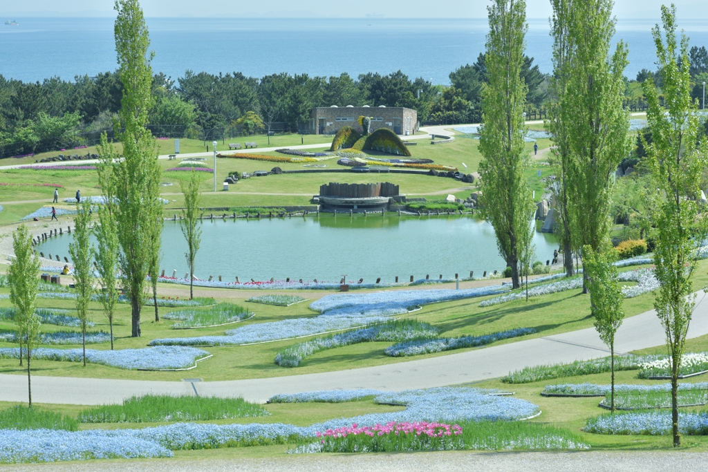 「国営明石海峡公園にて」