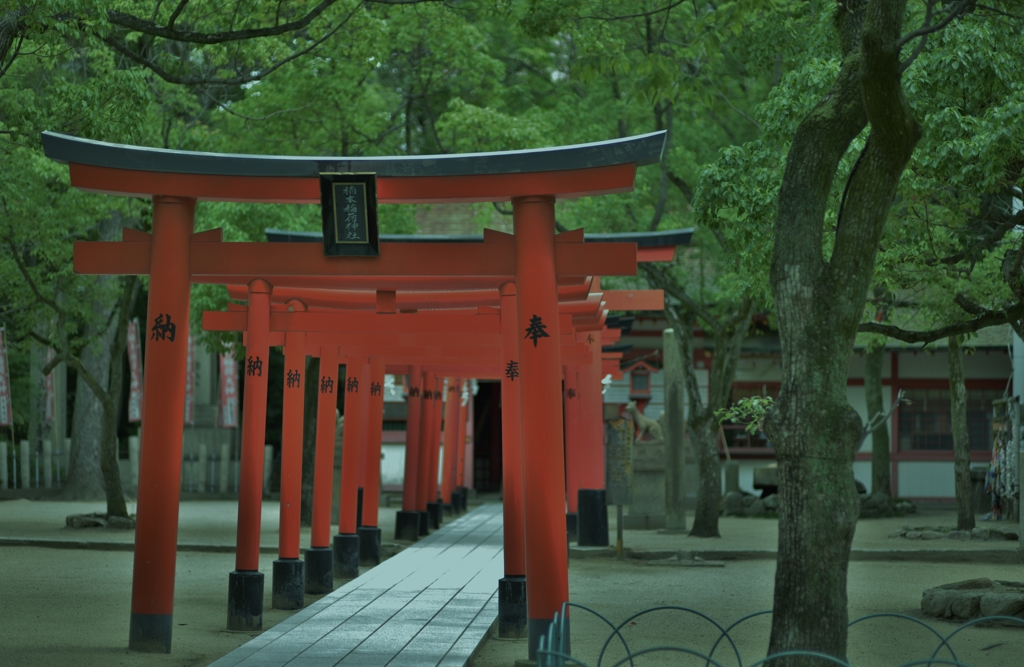 「楠木稲荷神社」