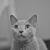 Photohitoのみなさま、お帰りなさい