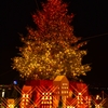 Merry　☆*::*:☆MerryXmas☆:*::*☆
