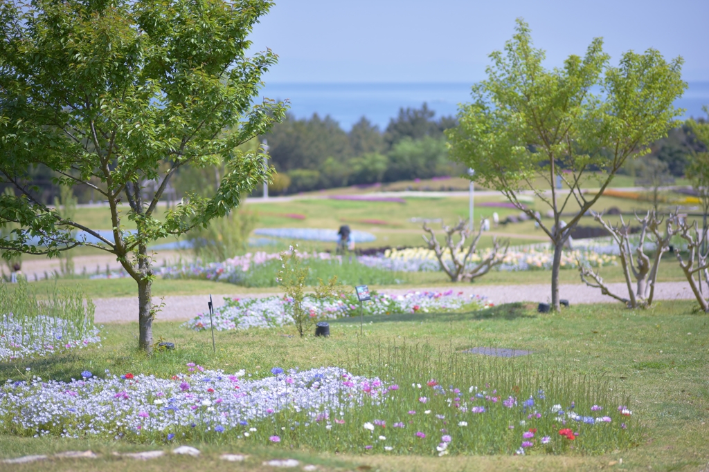 「明石海峡公園から瀬戸内海を臨む」