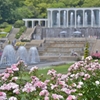 「王女の薔薇園」