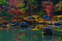 天龍寺　曹源池庭園　龍門の滝　～京都嵐山晩秋紀行～