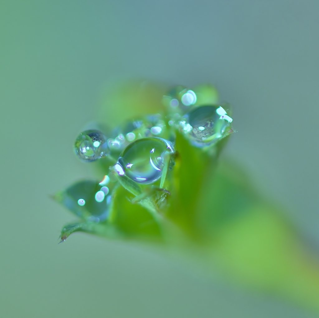 「雫の宝石」