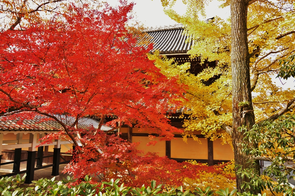 南禅寺　～背面から望む～